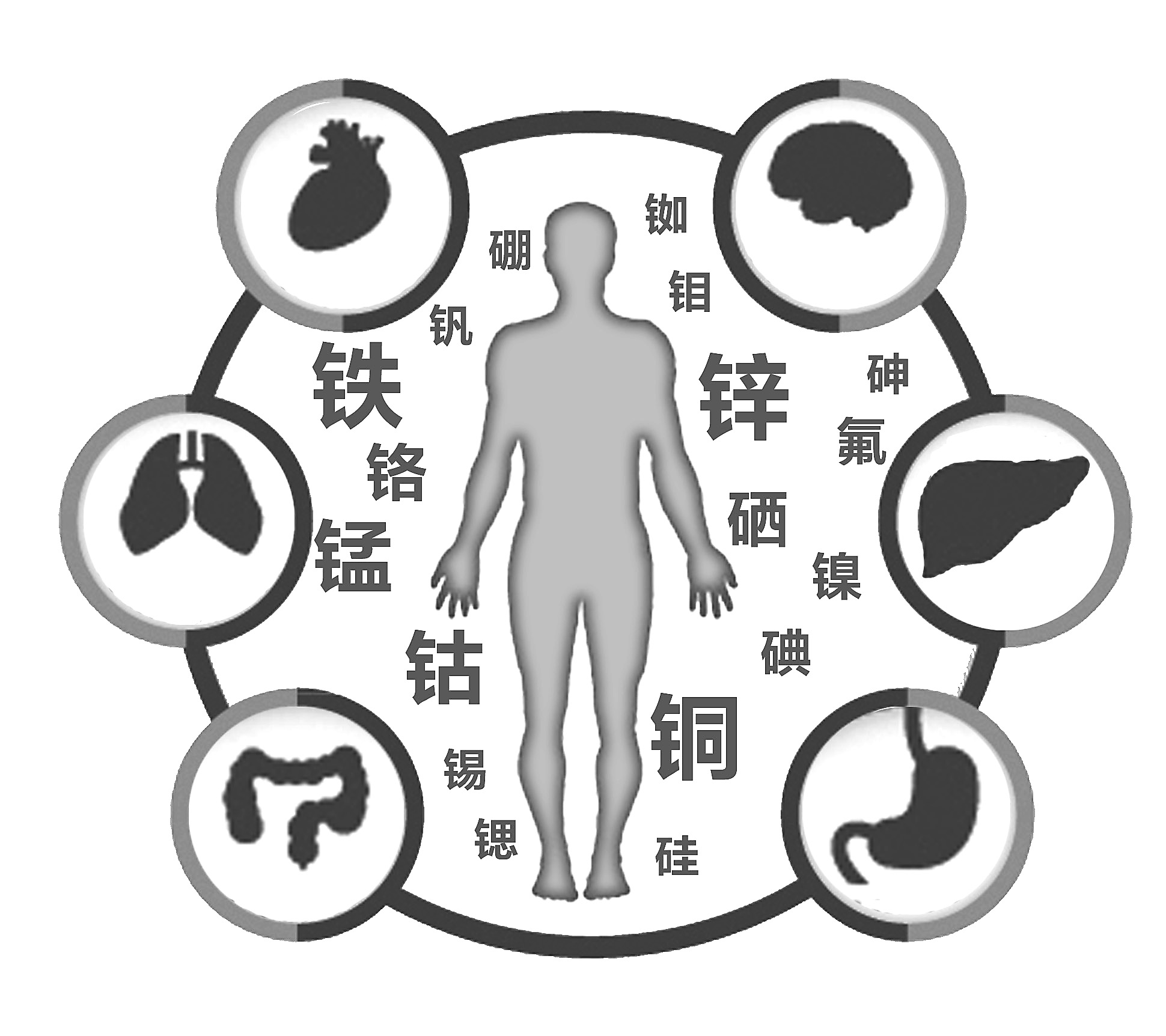 小蝌蚪网站视频檢查有必要嗎