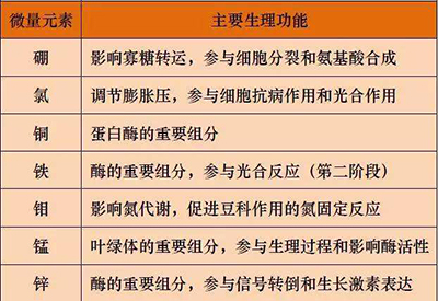 全自動小蝌蚪视频官网廠家微量元素的對人體的生理作用